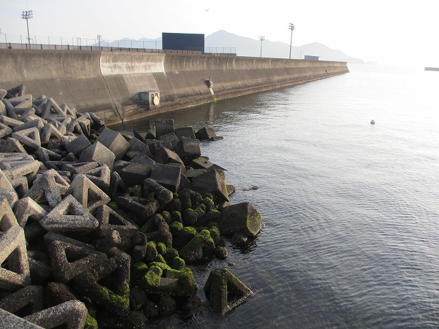 広島県の釣りポイント,小方港